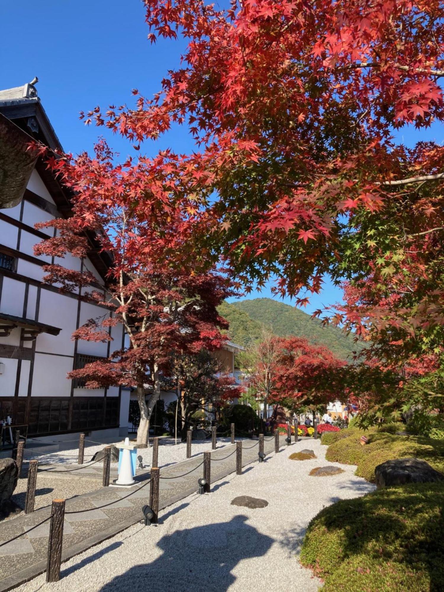 Sky Tree Inn Ⅱ（晴樹宿ⅱ） Tokio Exterior foto