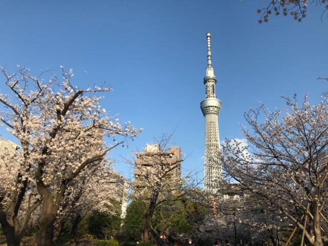 Sky Tree Inn Ⅱ（晴樹宿ⅱ） Tokio Exterior foto