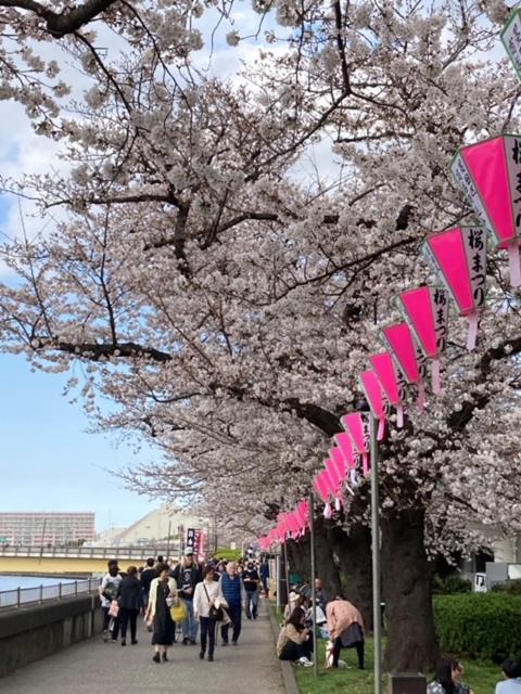 Sky Tree Inn Ⅱ（晴樹宿ⅱ） Tokio Exterior foto